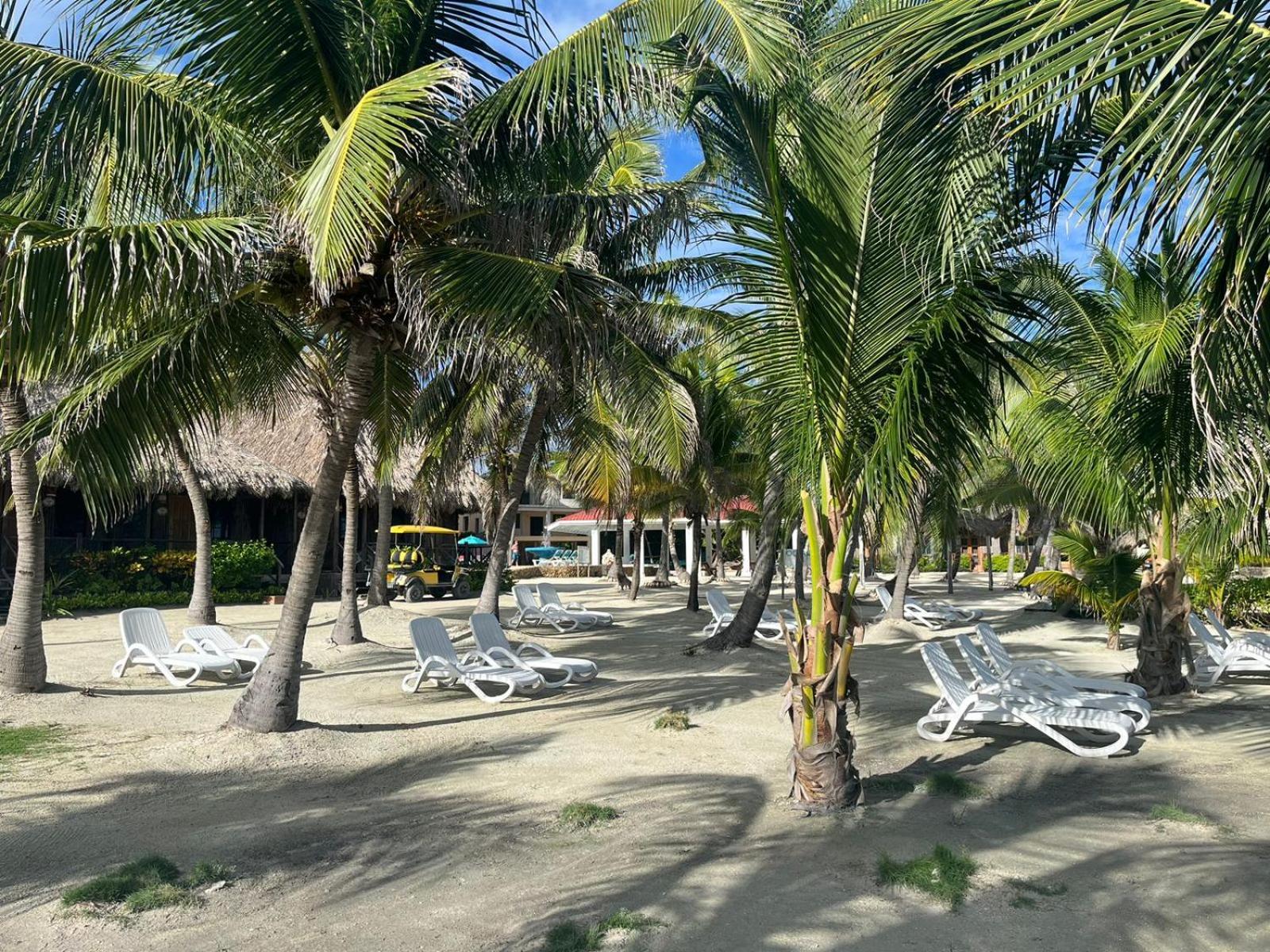 Captain Morgan'S Retreat San Pedro  Eksteriør billede